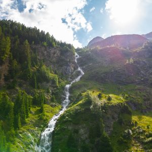 biohotel-stillebach-16