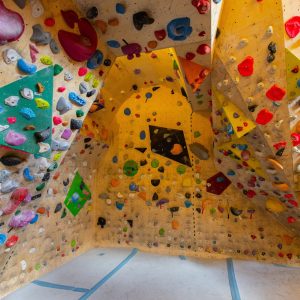 biohotel-stillebach-17