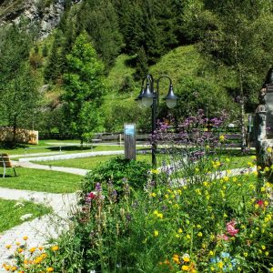 biohotel-stillebach-19