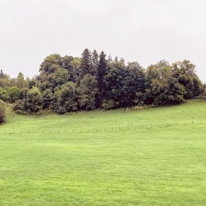 comfort-einzelzimmer-klein-fein-6