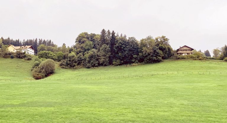 comfort-einzelzimmer-klein-fein-6