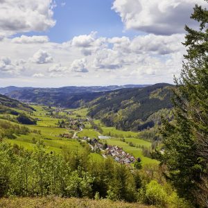 elzland-hotel-pfauen-12