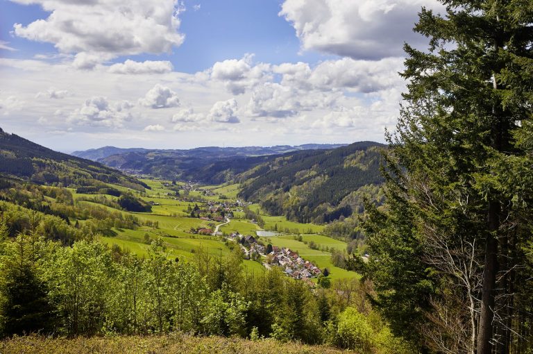 elzland-hotel-pfauen-12