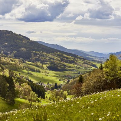 elzland-hotel-pfauen-17