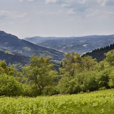 elzland-hotel-pfauen-19