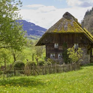 elzland-hotel-pfauen-7