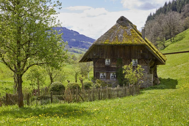 elzland-hotel-pfauen-7