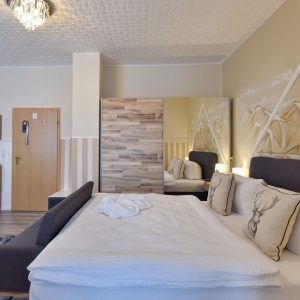 juniorsuite-silbersattel-5