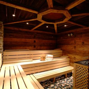 mondi-bellevue-alm-und-schiefe-alm-gastein-6