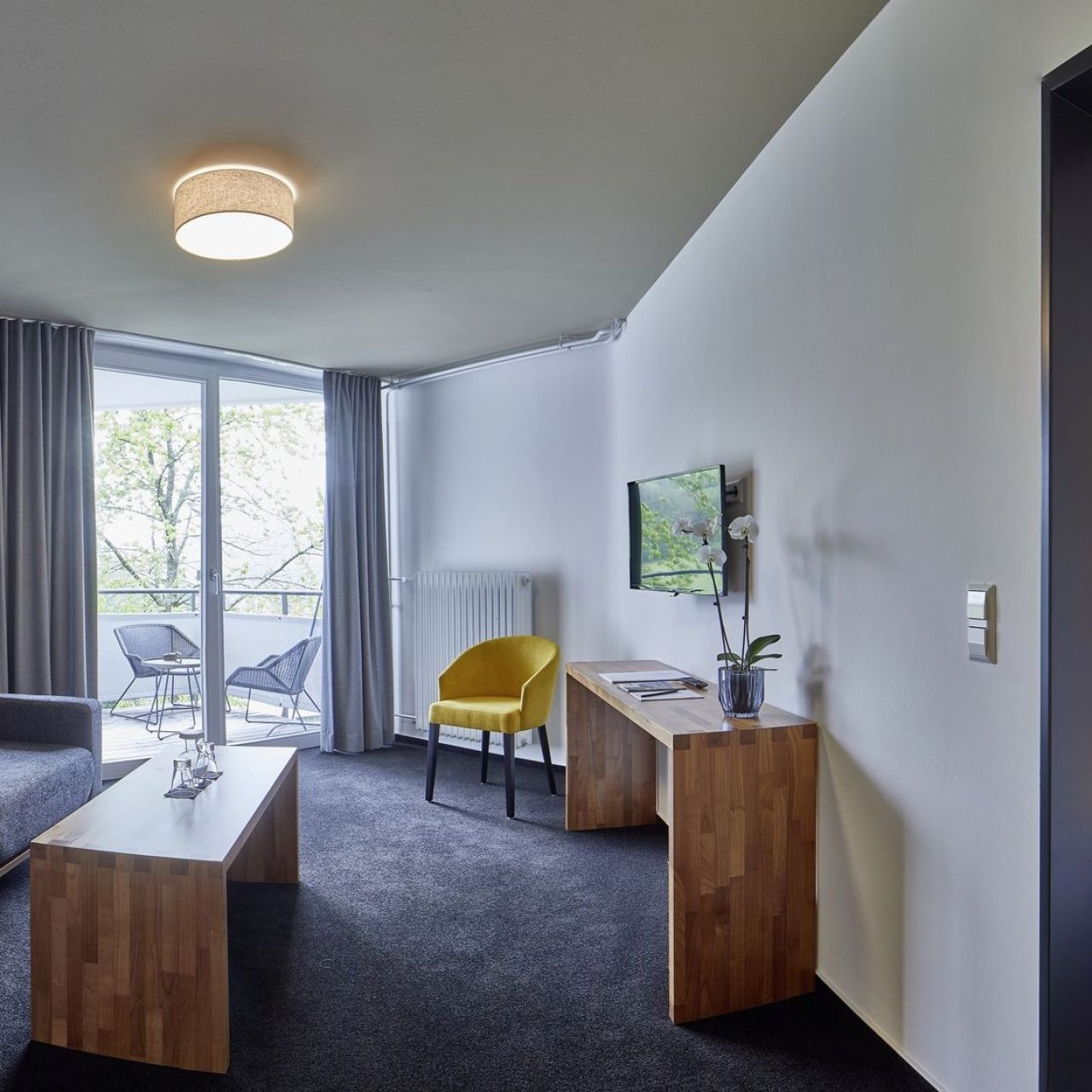 panorama-suite-1