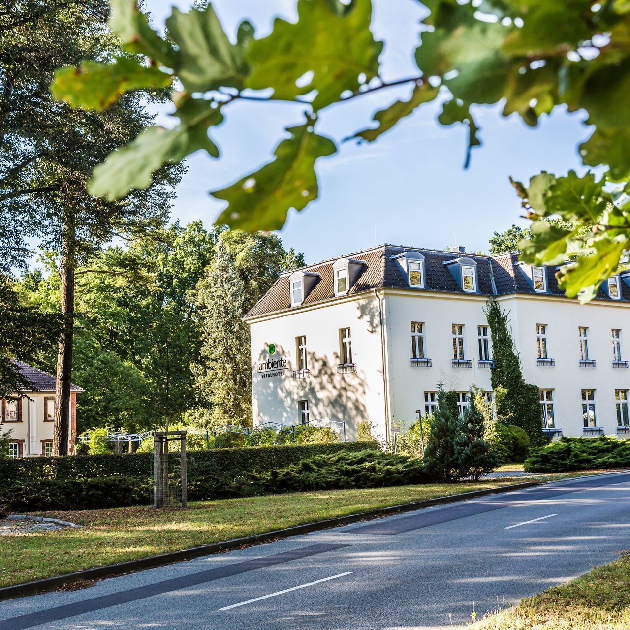 ringhotel-vitalhotel-ambiente