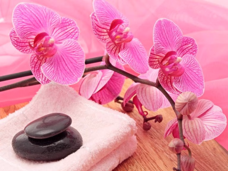 wellness-auszeit