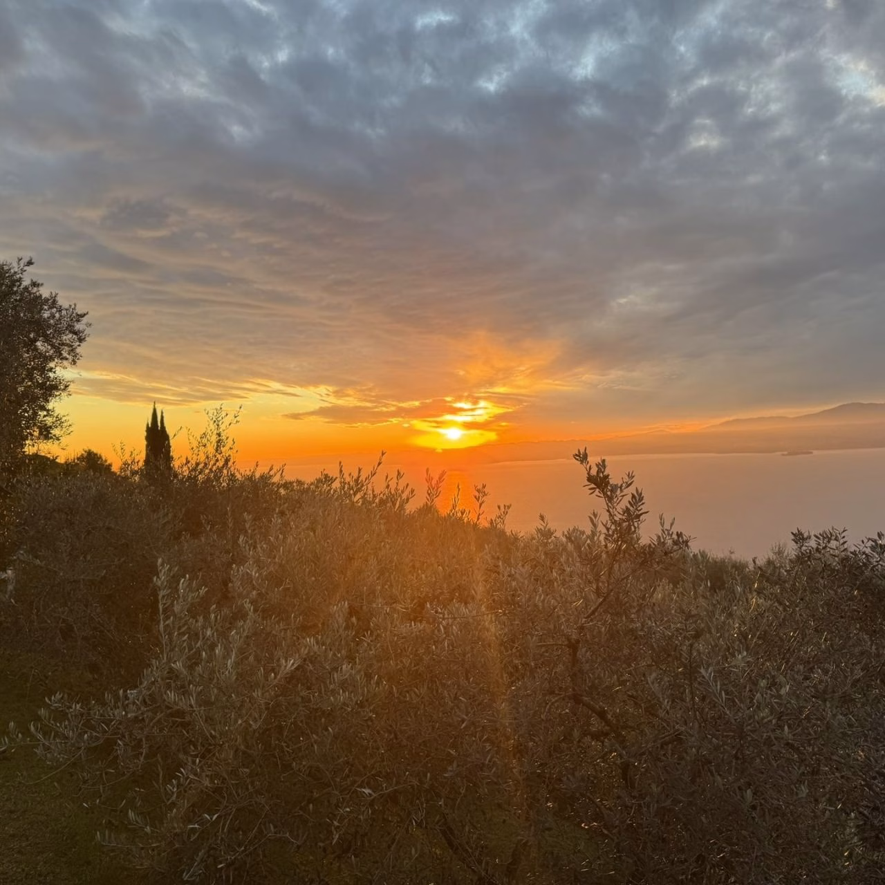 Italienische Woche "bella italia"