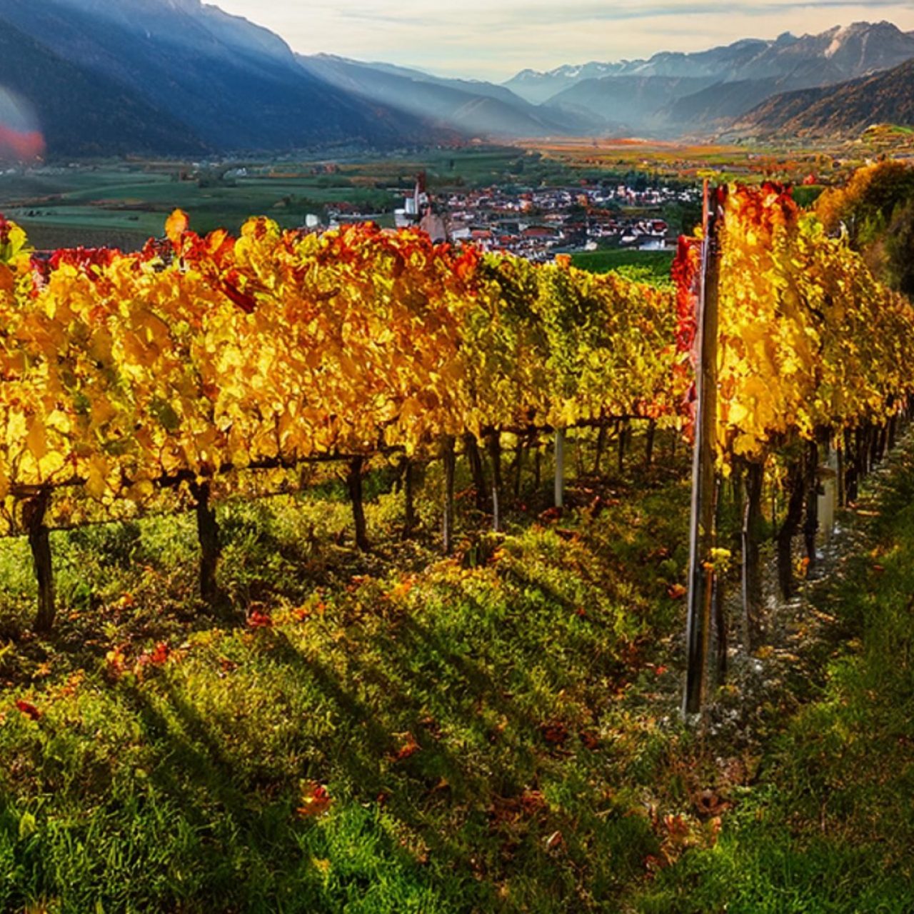 Herbstferien in Südtirol
